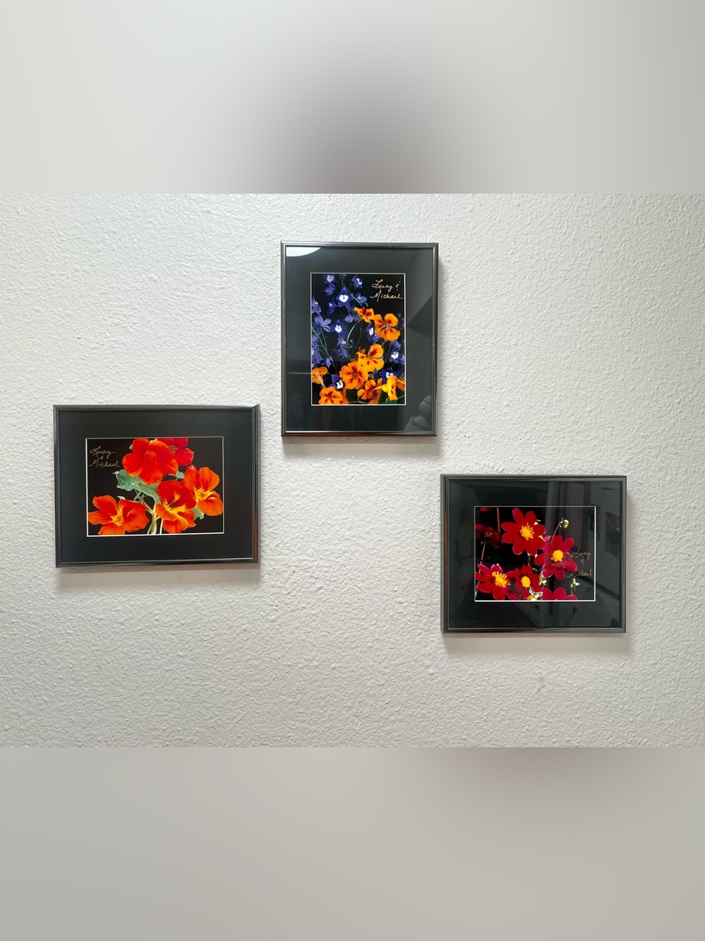Framed Floral Wall Art Triptych by Lucy & Michael